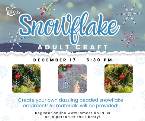 Snowflake Craft